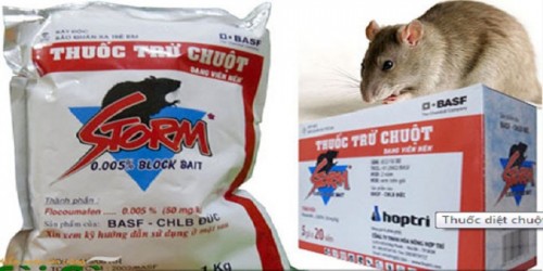 thuốc diệt chuột cống